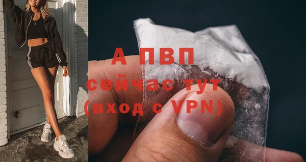 спайс Бородино