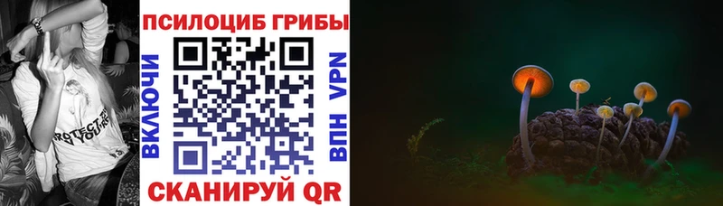 Псилоцибиновые грибы Psilocybine cubensis  Вилюйск 